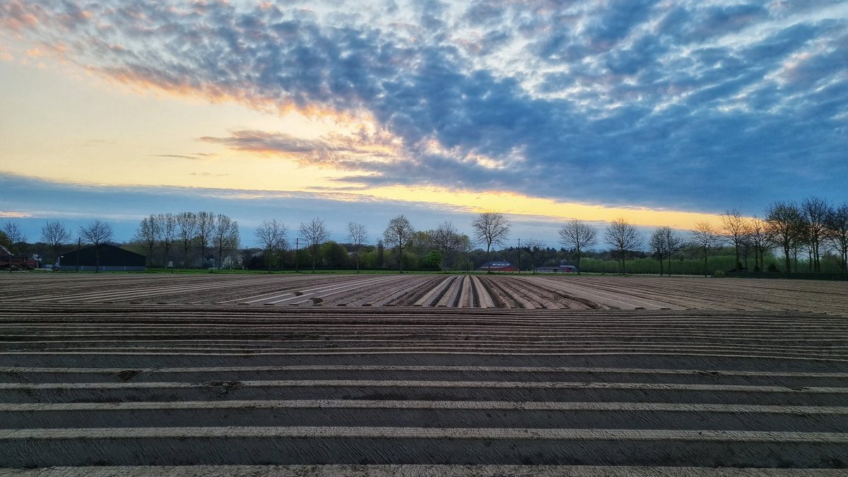 chrisrogghe's tweet photo. En er zijn weer streepkes! 🩵
#whilerunning #vrtweer #patatjes #Maaigemdijk @StadDeinze @deinzeonline
6u53 https://t.co/0KnOllRumc