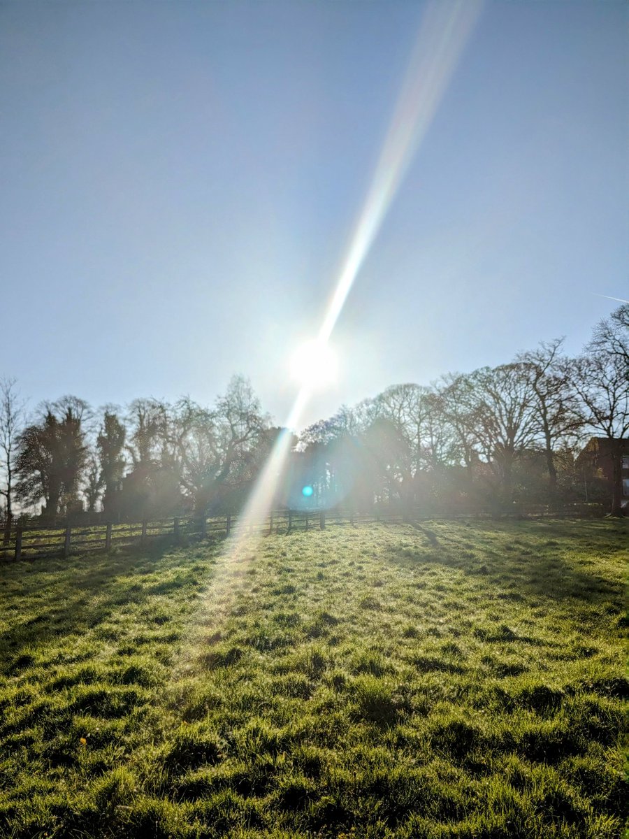 SusanPriceRD's tweet image. Slow and steady but 2nd run of the week........🏃🏾‍♀️
#GettingBackIntoIt
#mentalhealth 
#Physicalhealth
#LoudLeggingsSaturday on a Thursday