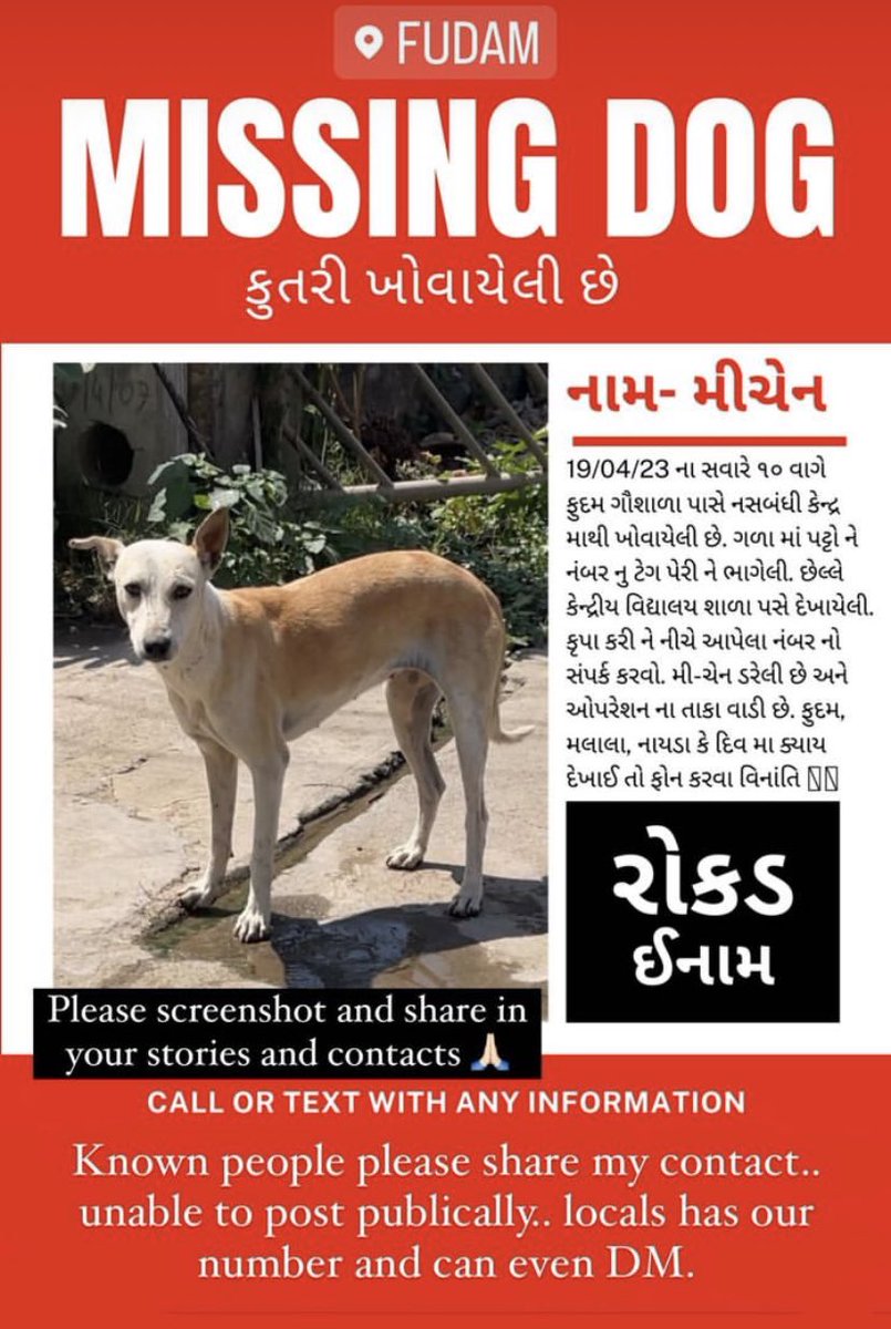 GitanjaliDas89's tweet photo. #Diu #Fudam Mi-Chan has gone missing! She had been sent for spaying and managed to escape after surgery and still has stitches on her tummy! #lostdog #India https://t.co/e7xqEGZtGW