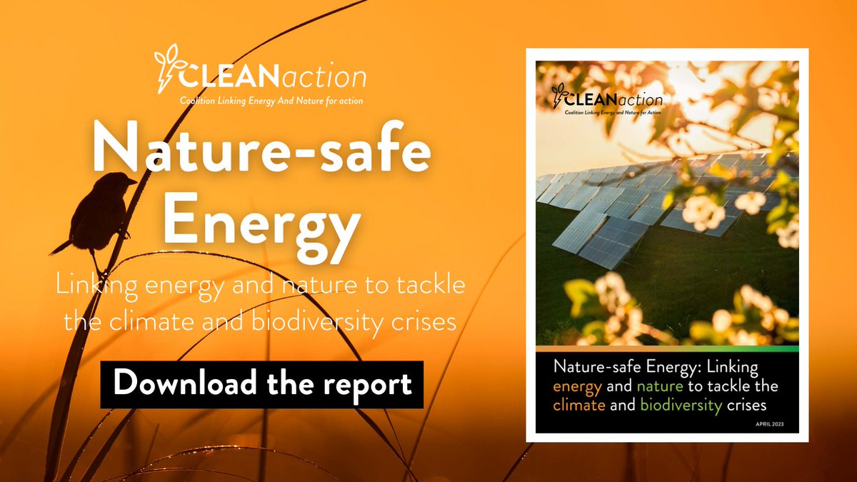 🆕 Just launched! 

A <a href="/_CLEANaction/">CLEANaction</a> report from WWF and partners shows how we can roll out renewable energy while also taking nature into account ⚡🌍 

See the key findings here: panda.org/cleanaction