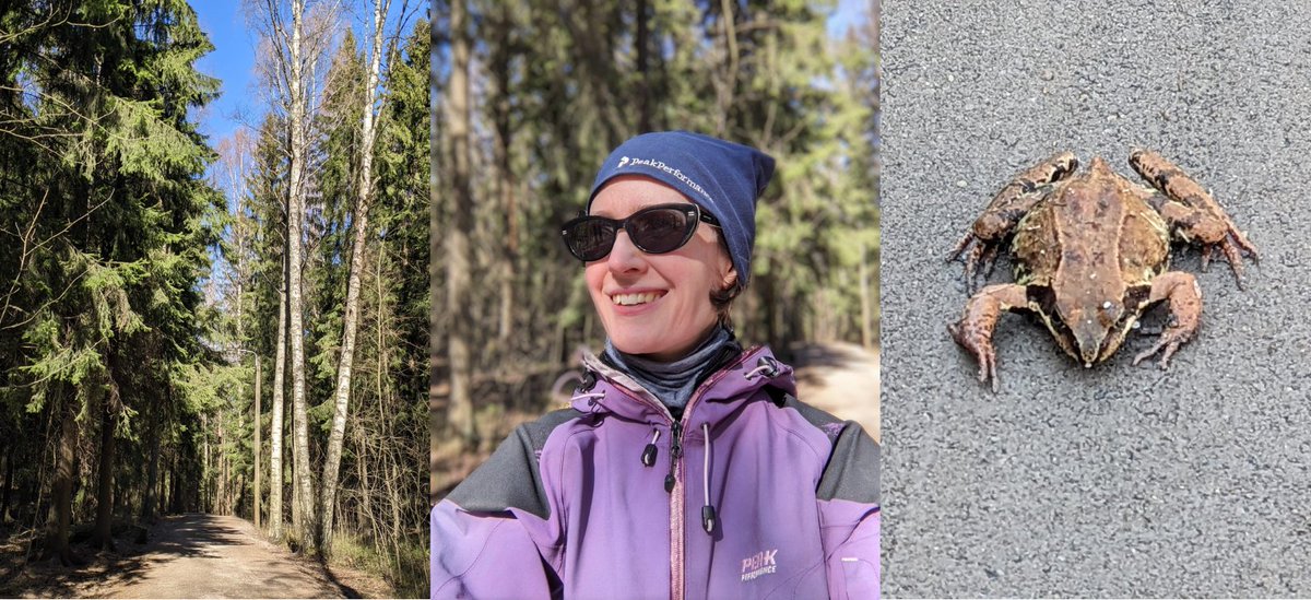 Syopapotilaat's tweet photo. Hyvänlaatuinen työ -joukkueemme otti jälleen osaa #FuckCancerRun'iin! Edunvalvonnan erityisasiantuntijamme @AnderssonEmmaFI lenkkeili kotipoluillaan nauttien auringosta ja kohtasi hän komean kurnuttajankin! 🐸🌞
Kiitos Fuck Cancer Runin järjestävät @sylva_ry & @PirSyRy! https://t.co/57Zki4djlm