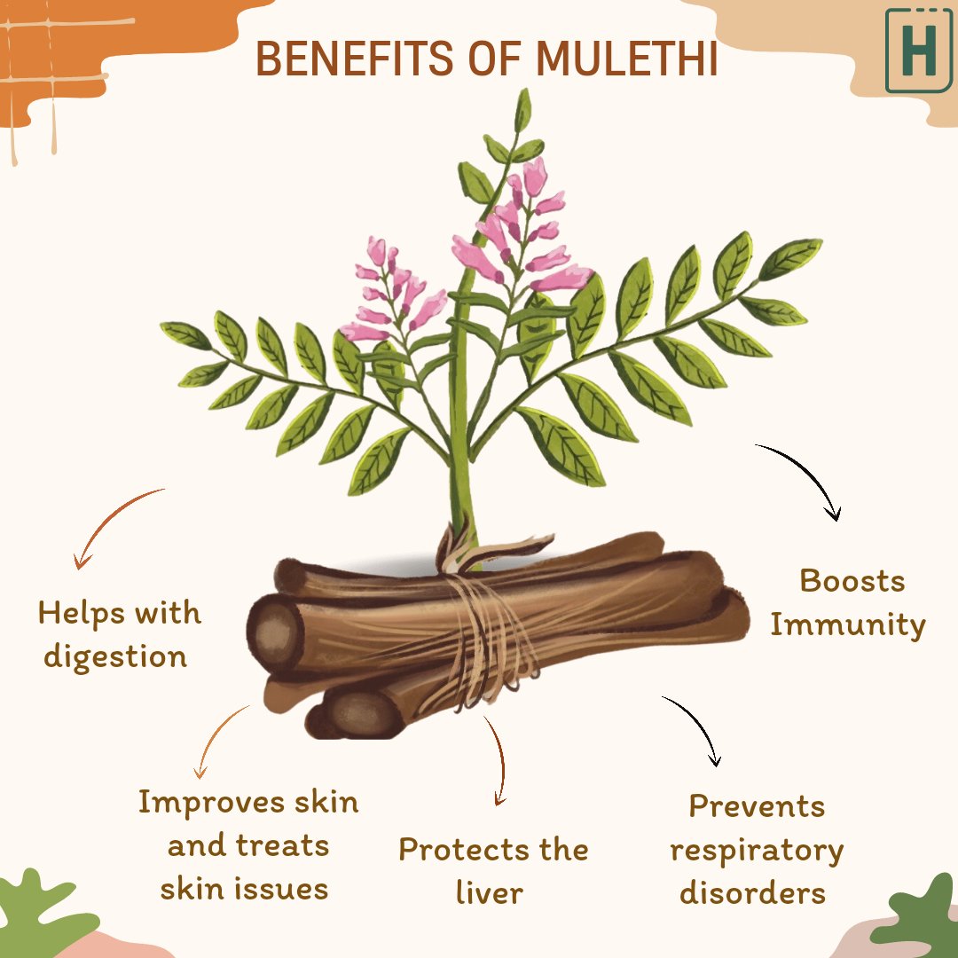 hempyar's tweet image. Mulethi also known as "Liquorice" an ancient medicinal plant used in ayurvedic medicine to alleviate digestive and respiratory problems.🍀

hempyar.com

#mulethi #mulethipowder #mulethibenefits  #plantsfacts #planthealing #covid_19 #viral #hempyar #bams #fit #fitness