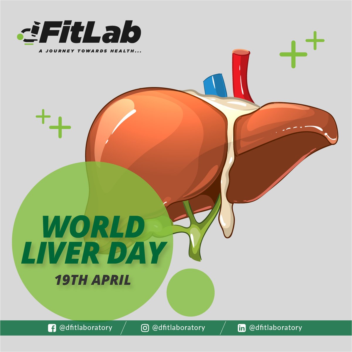 dfitlaboratory's tweet photo. dFitLab Healthcare pledge everyone to work towards making their liver healthy to improve the overall wellbeing. 
#WorldLiverDay #LiverDay #HealthyLiver #LiverHealth #LiverFacts #LiverDiet #LFT 
#dfitlab #dfitlaboratory #health #organs #humanhealth #humanbody #knowthesymptoms https://t.co/wZ89qP9ja2