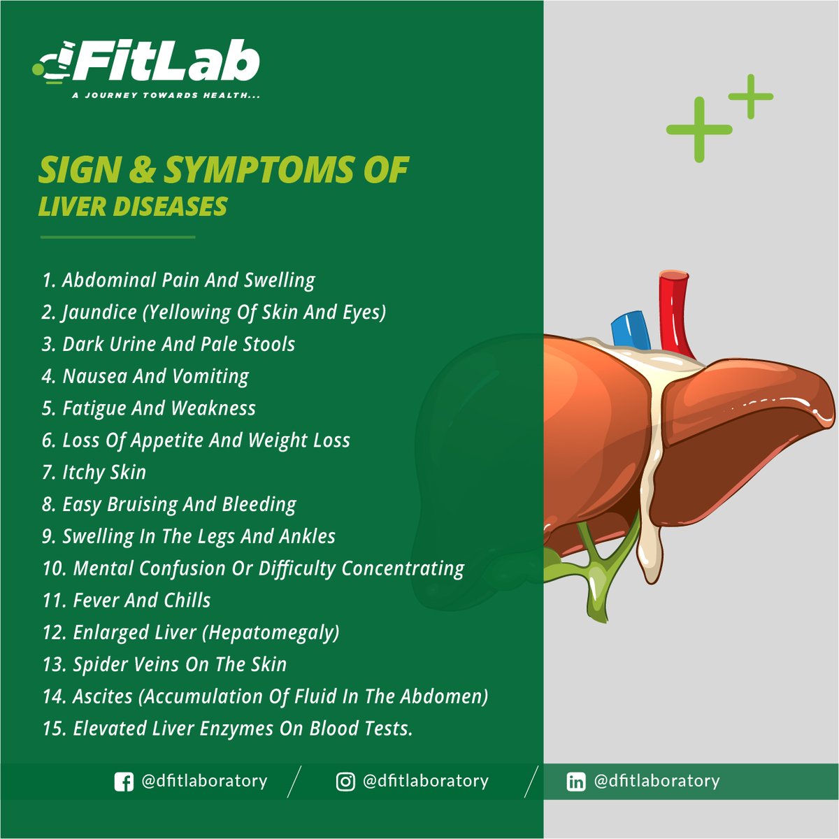 dfitlaboratory's tweet photo. dFitLab Healthcare pledge everyone to work towards making their liver healthy to improve the overall wellbeing. 
#WorldLiverDay #LiverDay #HealthyLiver #LiverHealth #LiverFacts #LiverDiet #LFT 
#dfitlab #dfitlaboratory #health #organs #humanhealth #humanbody #knowthesymptoms https://t.co/wZ89qP9ja2