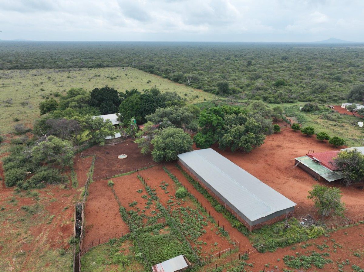 Stockfarmmag's tweet photo. In the market for agricultural property? Then look no further than the #VleissentraalProperties website! Follow the link for properties available on auction: https://t.co/n7Z5GqP2su
#Farms #Agriculture #Properties https://t.co/317ZOhFC5p