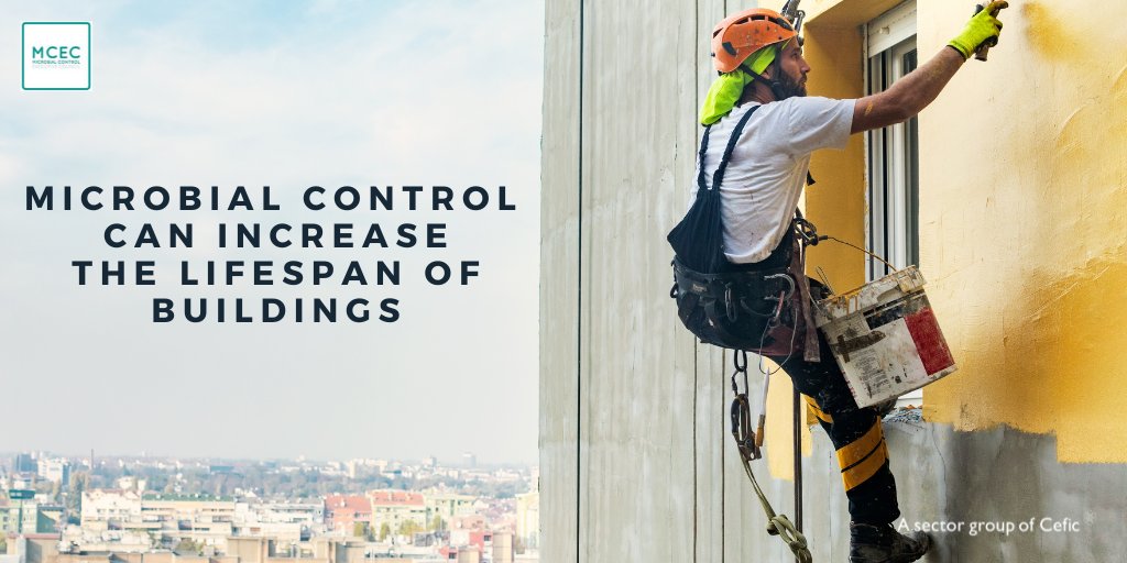 #DYK #MicrobialControl technologies can both stabilise a can of paint before its application and protect the material to which the paint is applied? See how they can increase the lifespan of buildings: bit.ly/3VXxZdc 
#Durability #Wood #protectandPreserve