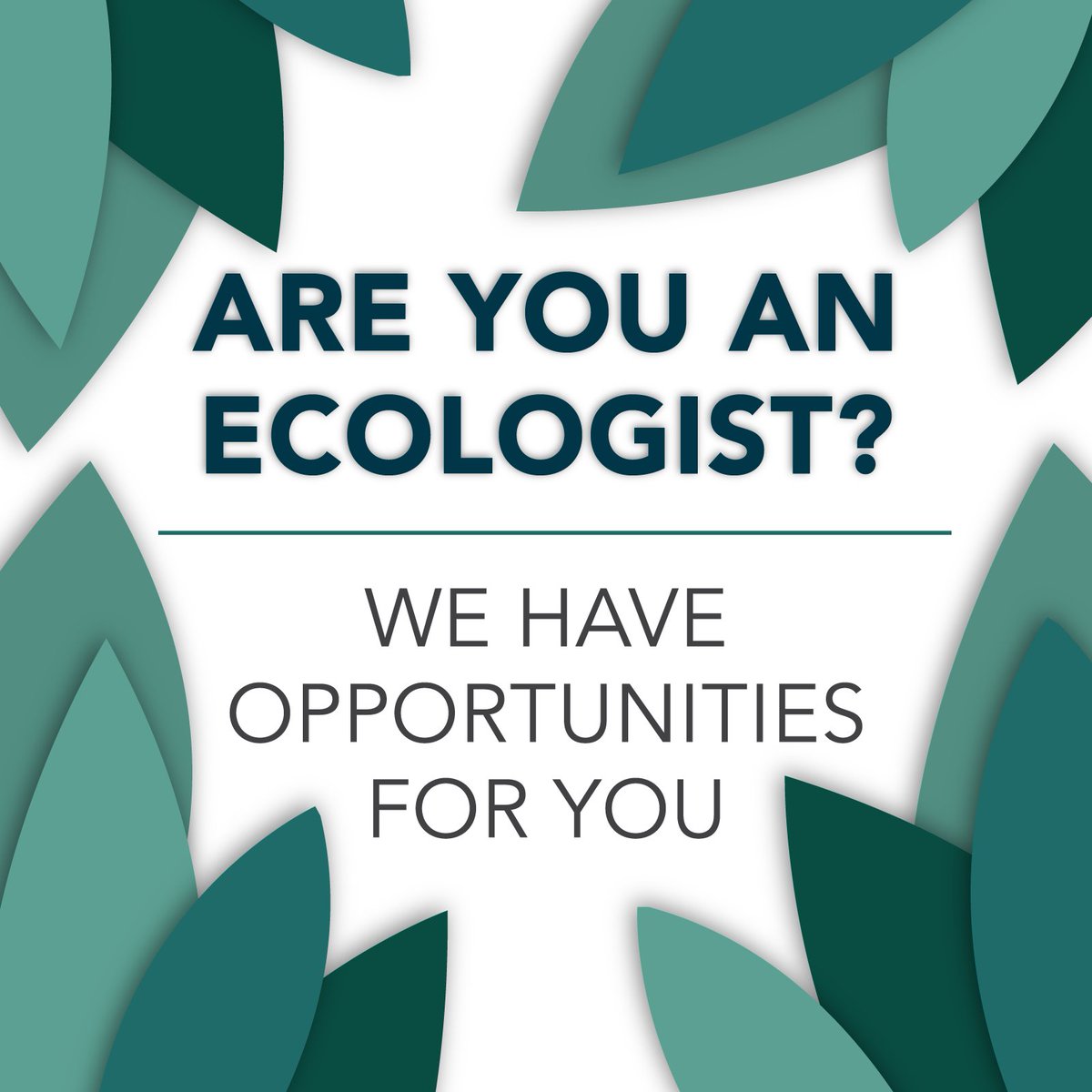 AltGenRecruit's tweet photo. #JOBALERT: 𝗘𝗰𝗼𝗹𝗼𝗴𝗶𝘀𝘁 – 𝗥𝗲𝗻𝗲𝘄𝗮𝗯𝗹𝗲 𝗘𝗻𝗲𝗿𝗴𝘆 – 𝗟𝗶𝘃𝗲𝗿𝗽𝗼𝗼𝗹 

Apply now: https://t.co/LWjxzdge91

#RenewableEnergy #Recruitment #GreenEnergy #CleanTech #SolarEnergy #WindEnergy #Sustainability #ClimateChange #NetZero #RenewableenergyJobs #Loadshedding https://t.co/M3V4z2Oe20