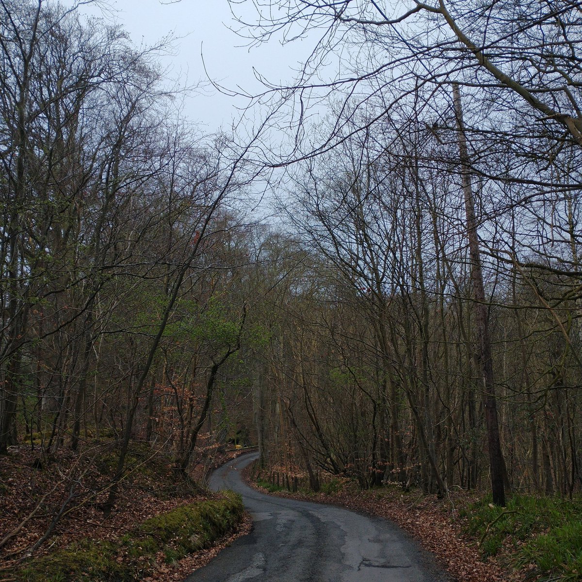 philipianhall's tweet photo. It Weren't Fast And It Weren't Pretty But It Did The Job Just Fine Ahead Of Another Twenty Four Hours Of Chipping Away At The Coalface Of Social Care
#scotland #cycling
#edinburgh #midlothian
#19miles #31km
#thursdaymorning https://t.co/MBOk59444E
