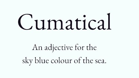 arealmofwonder's tweet photo. The Word of the Day 🌿

Choose your champion! 😀

A B
C D https://t.co/M2hYAGKfle