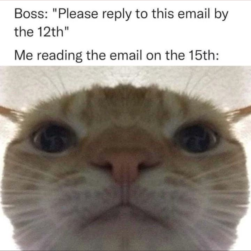 UnstableMemes1's tweet photo. @HumansNoContext https://t.co/0qvKFHAm1s