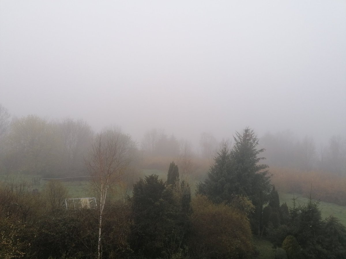 BettinaWestfeld's tweet photo. Auch wenn der Blick aus dem Fenster etwas herbstlich ist. Morgen startet die Frühjahrstagung der #Landessynode der #evlks in #Dresden. Das erste Mal in der Legislaturperiode mit Gästen ohne Einschränkungen miteinander über die Zukunft von Kirche in #Sachsen nachdenken. #Kirche https://t.co/Nk4isvIIIN