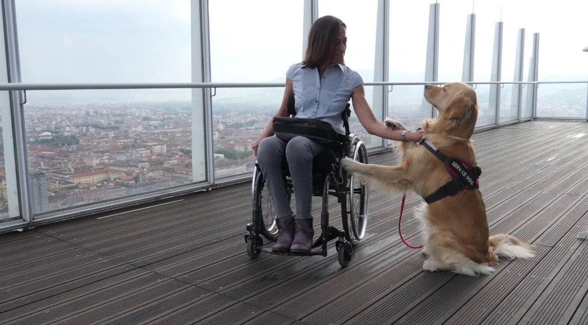 intesasanpaolo's tweet photo. Si celebra oggi la 3° edizione della Giornata Nazionale del #DisabilityManager: in Intesa Sanpaolo 80 colleghi appartenenti a varie strutture aziendali coordinano e realizzano progetti per la gestione dei bisogni delle persone con #disabilità
📌https://t.co/JaA05jcVCl https://t.co/zHhx3WvUeR