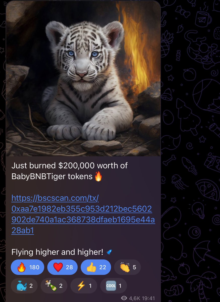 JenyMir tweet media