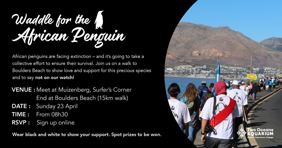 Save Our Seas Foundation Shark Education Centre tweet media