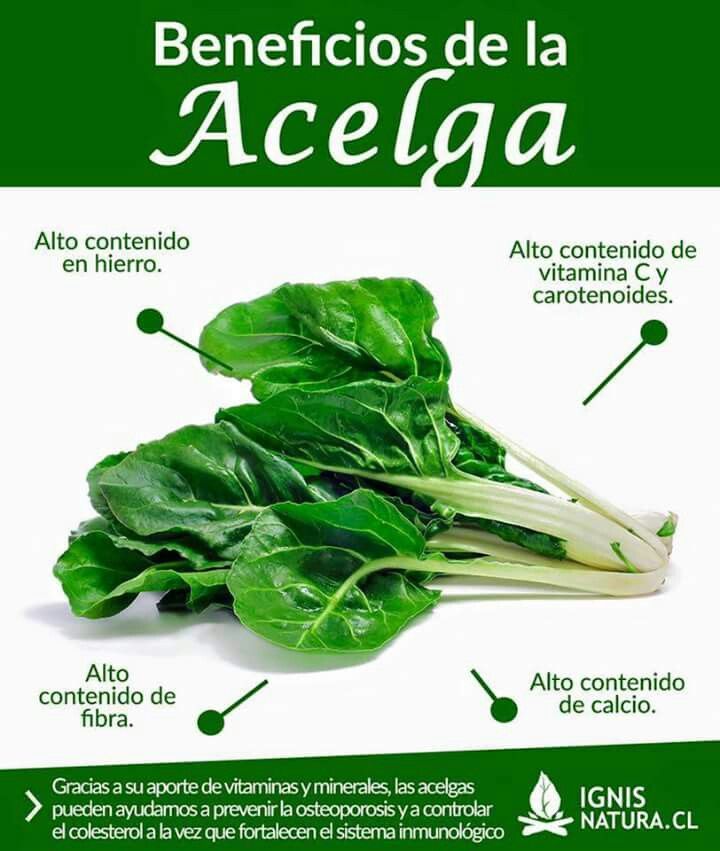 es_repera's tweet photo. #FelizJueves #20DeAbril , amig@s!
¿Que os parece si le ponemos color al plato? Acelgas de #colores, ricas en #vitamina C, hierro, fibra y calcio.
Que viva el #cocinar con #alegría y color para hacer #platosdivertidos!
#Madrid #cocina #color #diversion #verdura https://t.co/Hsn4RbRb5q