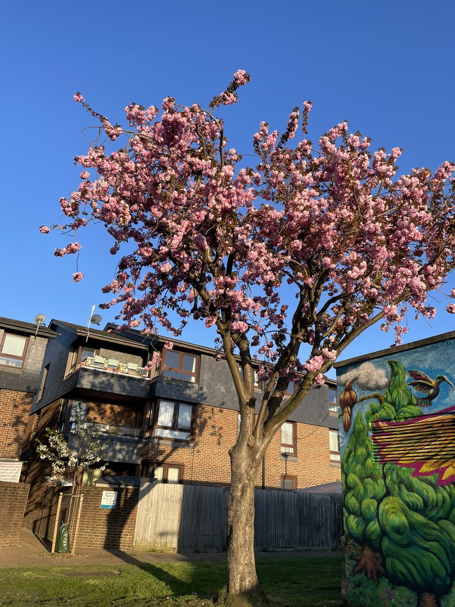 darango581's tweet photo. #London #spring 💕🌸💐💕 https://t.co/VMtNVYzbXp