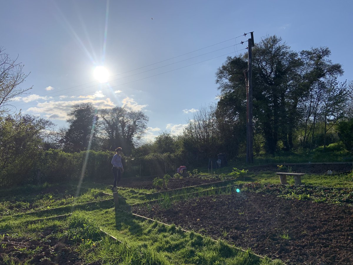 dimchurch's tweet photo. Morning all. Yesterday was quite a good day. Residential admin &amp; lots of holiday hibernation rest sums it up. Evening walk and kale collected from the allotment. #4of365 have a lovely day all 😀😀

#SpreadASmile 😀#SmileContagious 😀😀😀#BeKind 😘 #CheckIn ☎️ #ClickThoseHeels ���� https://t.co/2PM565tgAU