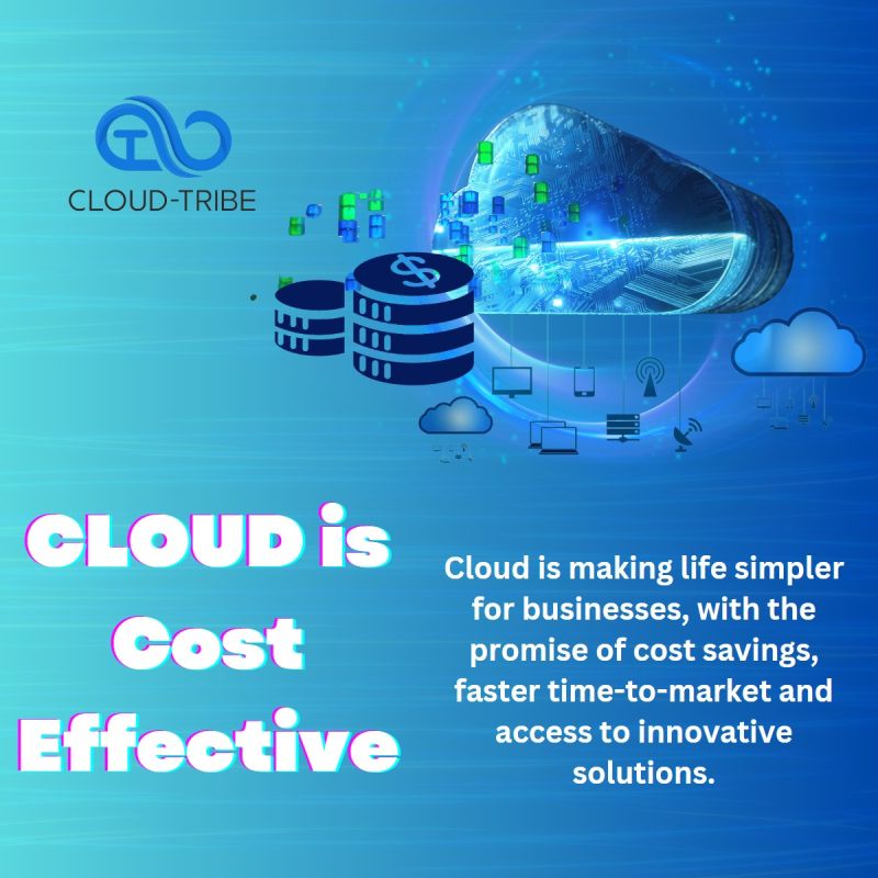 cloud_tribe's tweet photo. We are making life simpler for businesses, with the promise of cost savings, faster time-to-market, and access to innovative solutions.

FOR MORE DETAILS: https://t.co/MeUJ5vuYGh

#cost #costeffective #cloudcomputing https://t.co/twOZ2hfy6v
