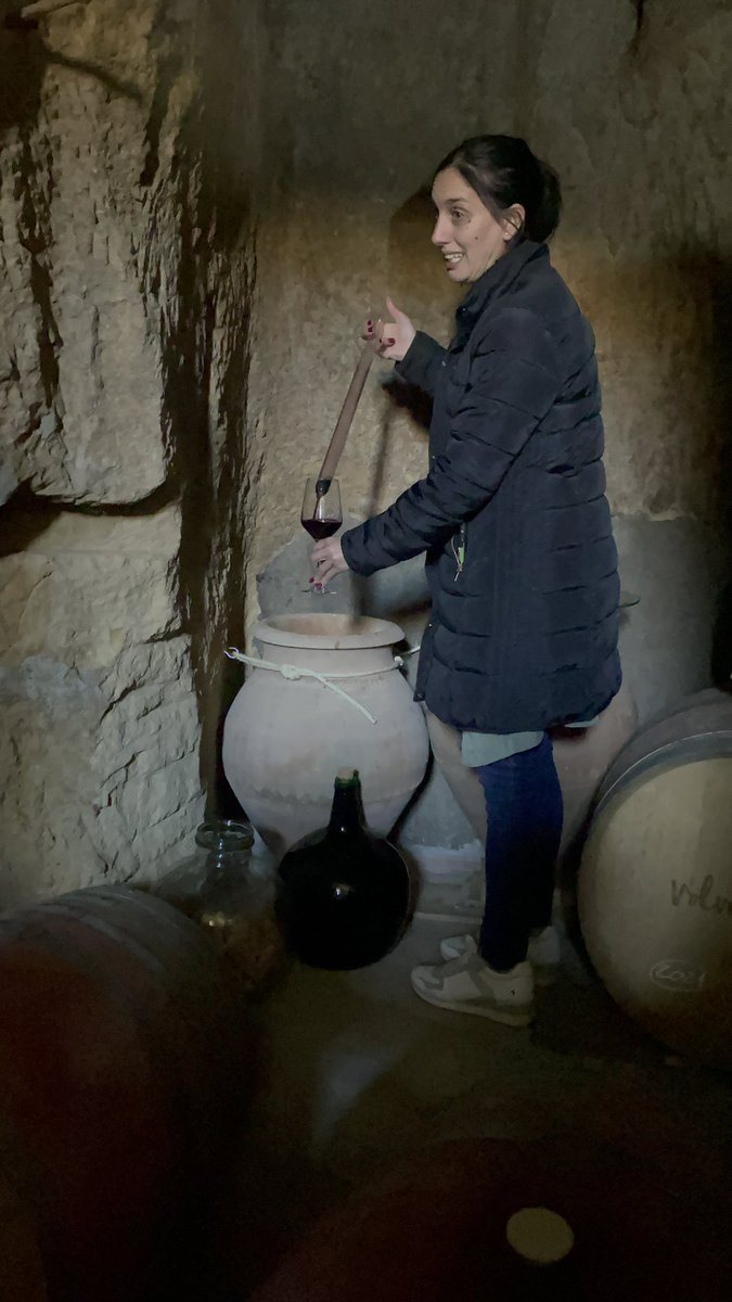 CastillaYLeonTB's tweet photo. Finca Volvoreta es una opción muy interesante para practicar enoturismo en Toro. Ha sido una de las primeras bodegas en obtener la certificación ecológica en Castilla y León. 

¿Apetece un vino de Toro?

#DuraDouroEU #SomosDueroDouro 

 @clusteraeice @fundacionSMLRPH https://t.co/PNhGsaZ9VK