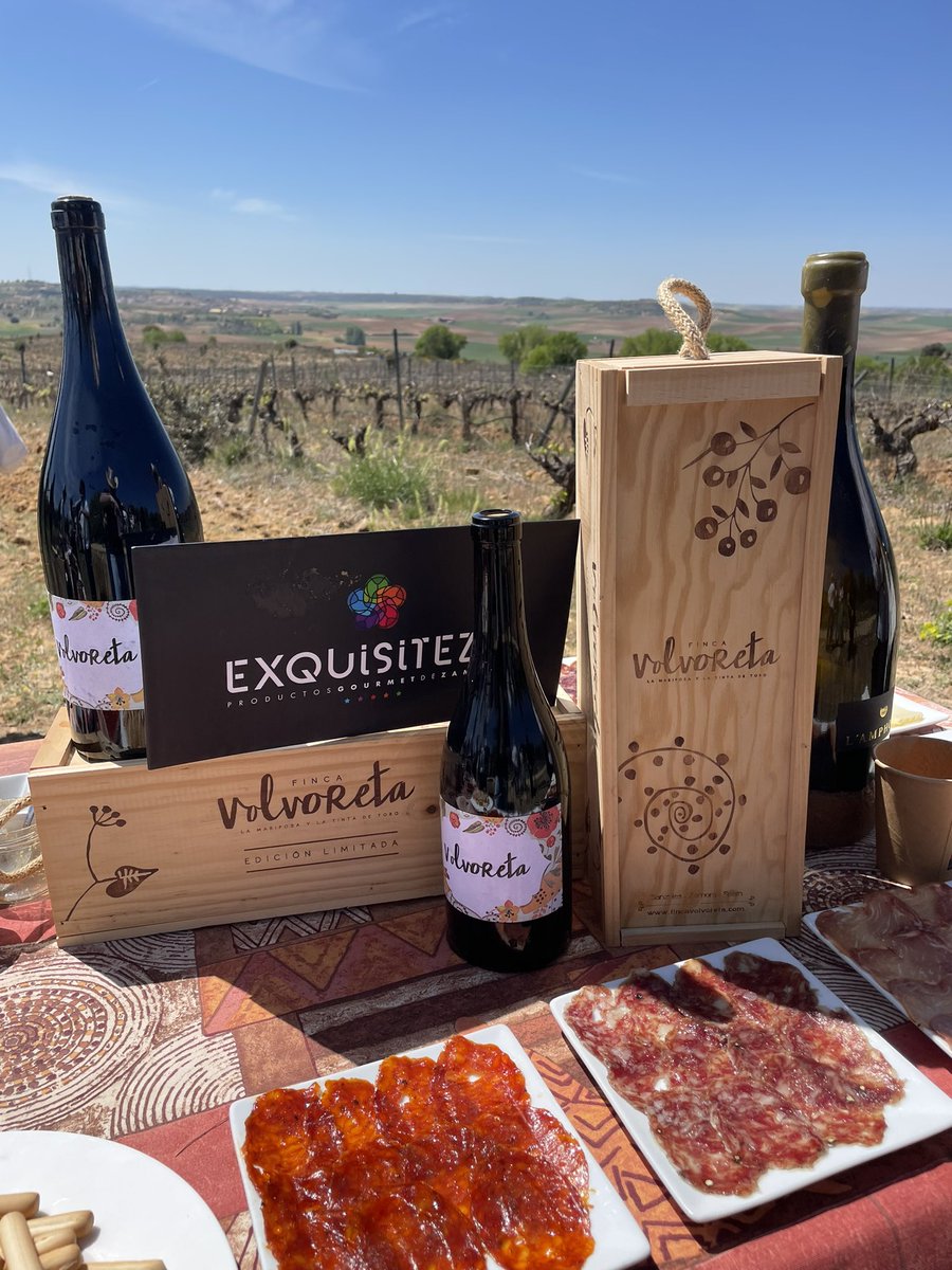 CastillaYLeonTB's tweet photo. Finca Volvoreta es una opción muy interesante para practicar enoturismo en Toro. Ha sido una de las primeras bodegas en obtener la certificación ecológica en Castilla y León. 

¿Apetece un vino de Toro?

#DuraDouroEU #SomosDueroDouro 

 @clusteraeice @fundacionSMLRPH https://t.co/PNhGsaZ9VK