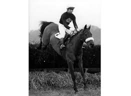 MikeWass2's tweet photo. OTD 1974: Grand National hero Red Rum, carrying top weight of 11st 13lb, won the Scottish Grand National ๐ด๓ ง๓ ข๓ ณ๓ ฃ๓ ด๓ ฟ@ayrracecourse by 4 lengths from Proud Tarquin & Kildagin a neck away third. First & only horse to win both races in the same season. ๐๐#RacingMemories #HistoricDouble https://t.co/GIUZ9HHHzJ