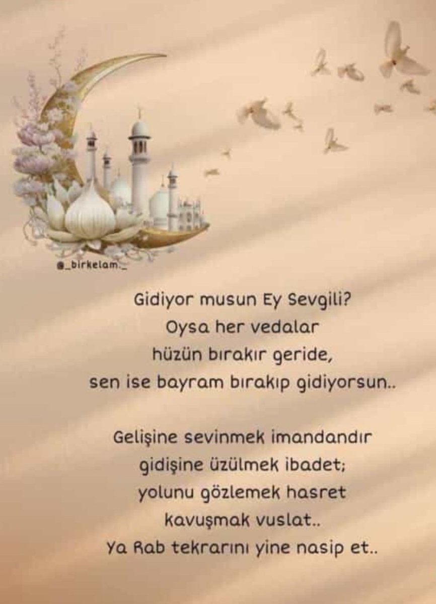 🌿🌼Rabbim  tekrarına kavuştur.🤲🤲
