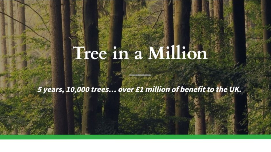 JanitorialExp's tweet photo. We are now Carbon Neutral - https://t.co/P1qO25XXof https://t.co/MG5piz4TbK