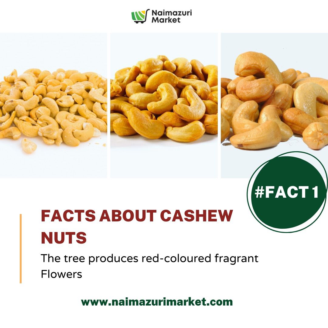 naimazurigroup's tweet photo. The Nuts and the cashew apples are both healthy foods. They are very nutrient-dense and contain significant levels of vitamin C, calcium, iron, and vitamin B1.

#cashew #cashewprocessing #cashewnuts  #farmalert #farmfunfact #funfact #sustainableagriculture #onlineshopping #abuja https://t.co/zJFtVvTerN