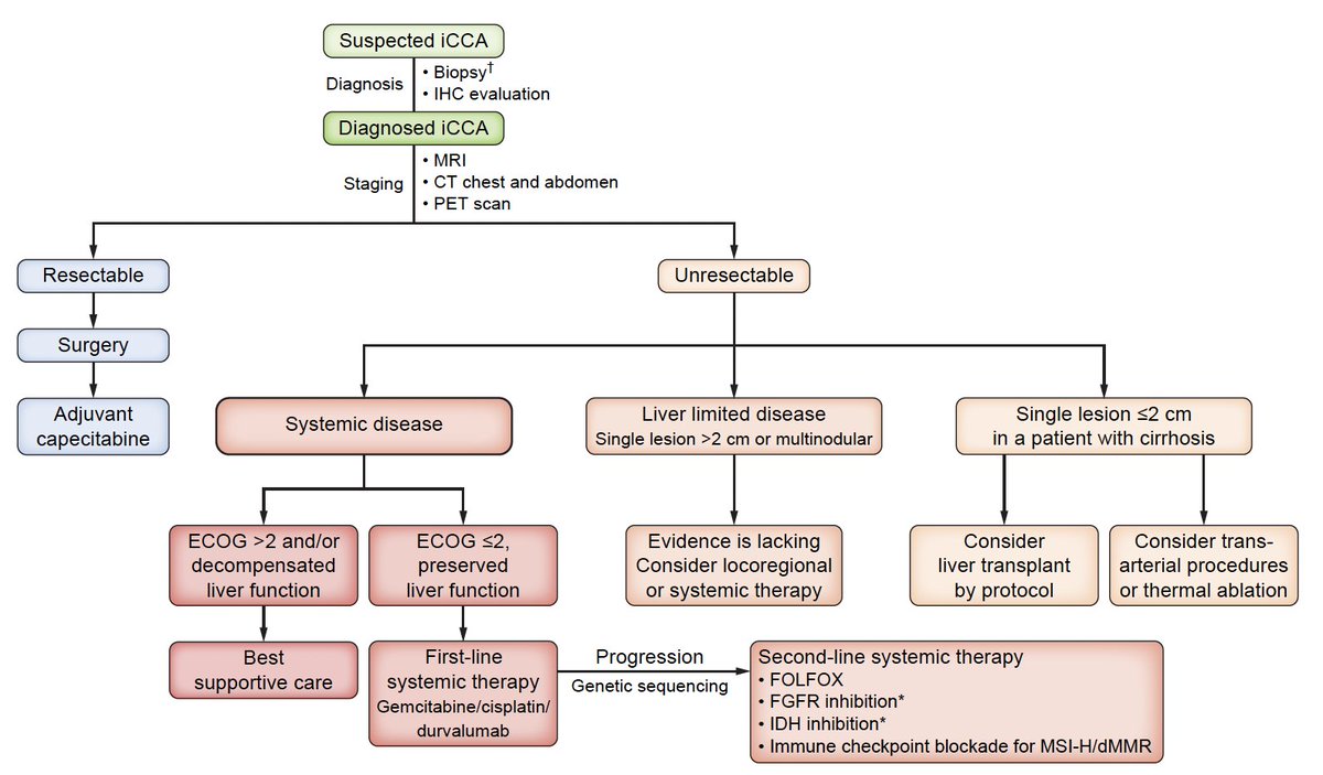 Arndt Vogel (@arndtvogel) on Twitter photo 🔥EASL-ILCA Clinical Practice Guidelines on the management of intrahepatic cholangiocarcinoma🔥
<a href="/JHepatology/">Journal of Hepatology</a>
doi.org/10.1016/j.jhep…
👏Very detailed recommendations on diagnostic, prognostic, and therapeutic management of iCCA
<a href="/myESMO/">ESMO - Eur. Oncology</a> <a href="/EASLedu/">EASL Education</a> <a href="/CcaEns/">ENS-CCA</a> #livertwitter <a href="/OncoAlert/">OncoAlert</a> 🔥EASL-ILCA Clinical Practice Guidelines on the management of intrahepatic cholangiocarcinoma🔥
<a href="/JHepatology/">Journal of Hepatology</a>
doi.org/10.1016/j.jhep…
👏Very detailed recommendations on diagnostic, prognostic, and therapeutic management of iCCA
<a href="/myESMO/">ESMO - Eur. Oncology</a> <a href="/EASLedu/">EASL Education</a> <a href="/CcaEns/">ENS-CCA</a> #livertwitter <a href="/OncoAlert/">OncoAlert</a>