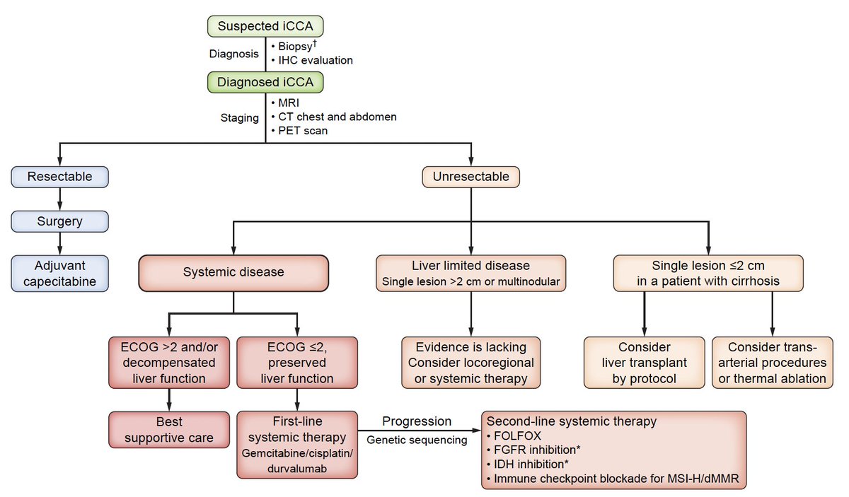 🔥EASL-ILCA Clinical Practice Guidelines on the management of intrahepatic cholangiocarcinoma🔥 @JHepatology doi.org/10.1016/j.jhep… 👏Very detailed recommendations on diagnostic, prognostic, and therapeutic management of iCCA @myESMO @EASLedu @CcaEns #livertwitter @OncoAlert