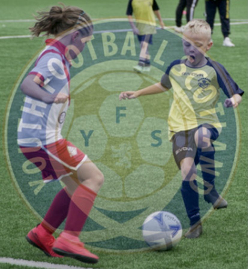 Huge happy 11th birthday wishes to one of our first girls to join <a href="/Club2013s/">Airdrie Community Club 2013s</a> &amp; go on to <a href="/TheAirdriegirls/">Airdrie Girls Lions and Tigers</a> - Darcy McGlynn - all your pals and coaches hope you have an amazing day celebrating with <a href="/mcglynn_17/">Martin McGlynn</a> 🥳🎉🎂🎁⚽️♦️