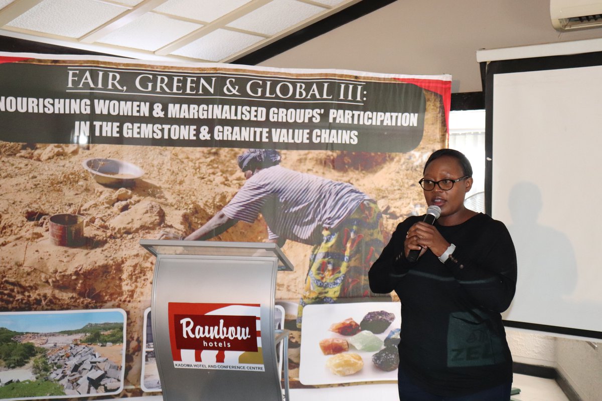 Zimbabwe Environmental Law Organisation (ZELO) tweet media