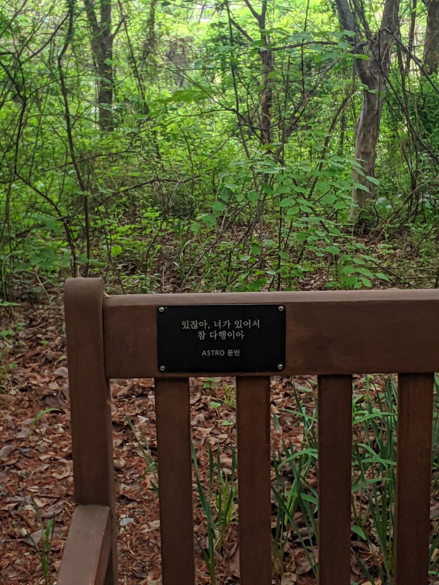 _Felipe_CL's tweet photo. We have gone to leave flowers outside the astro company and then we continue walking aimlessly and casually without knowing we have arrived at this place 🥹 #moonbin 🙏

있잖아. 녀가 있어서 참 다행이야 ASTRO #문빈 / 
You know, I'm so glad I have her, Astro Moonbin https://t.co/DboCBbLZrT