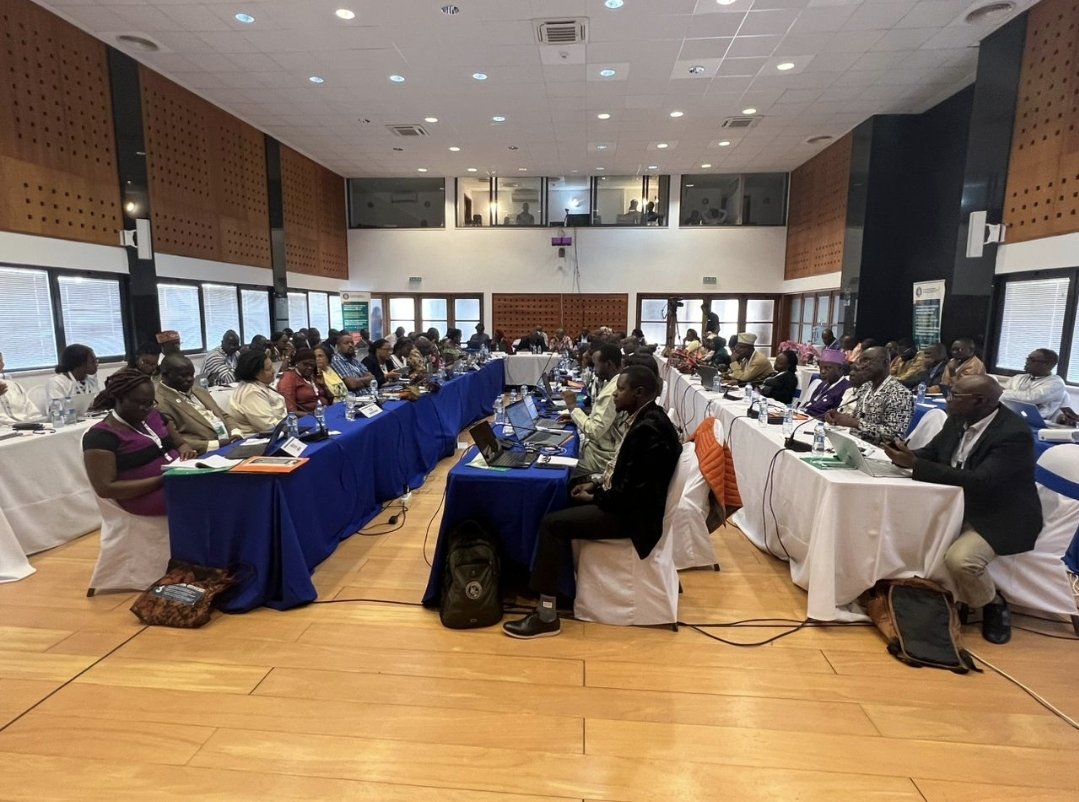 SesayLabMRCG tweet media