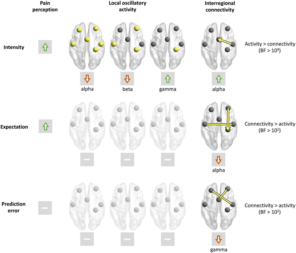 How are the two main drivers of pain, i.e. sensory and contextual information, implemented in the brain? In our <a href="/ScienceAdvances/">Science Advances</a> paper, we show that they are served by regional brain oscillations and brain connectivity, respectively.  science.org/doi/10.1126/sc… 
w/ @joachim__gross