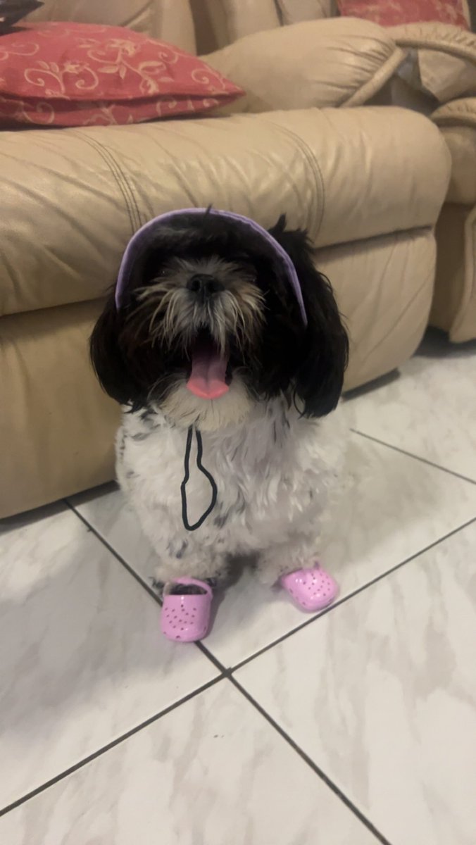 mimi in crocs and a hat