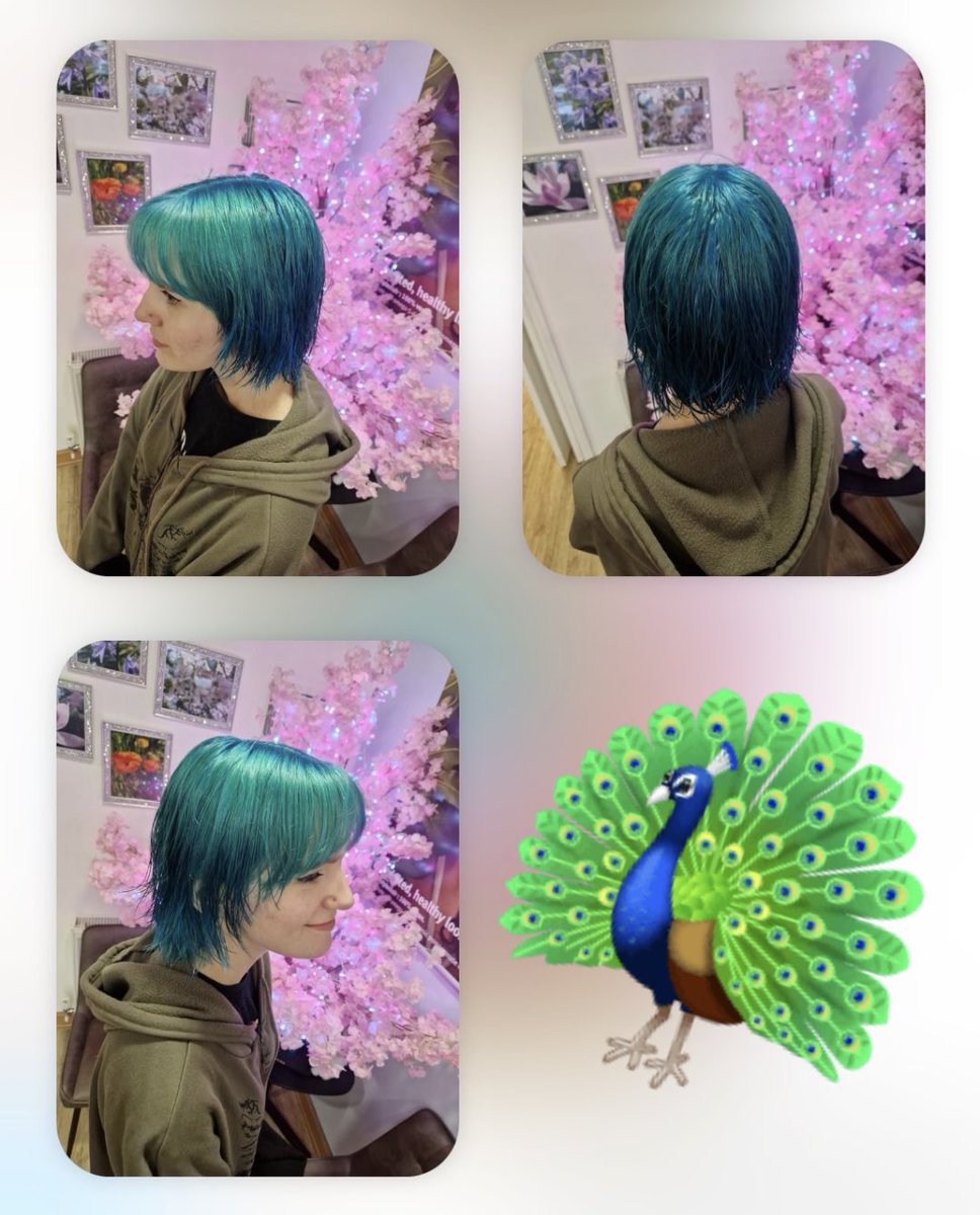 headmasters_ltd's tweet photo. Absolutely stunning peacock inspired colour, using @aveda vibrants range. Naturally derived, cruelty free, vegan hair colour simply does not get better than this! We’re in love! 🦚💙💚🦚
#aveda #avedasalon #avedaartist #avedacolor #avedavibrants #crueltyfree #vegan #veganbeauty https://t.co/AHtC0NrQ0p