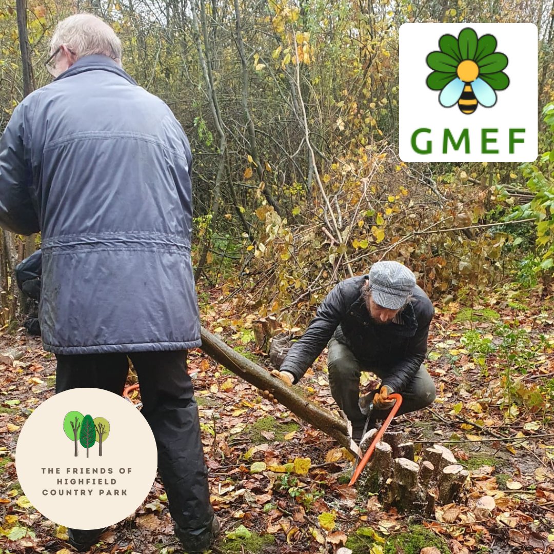 Friends of Highfield Country Park tweet media