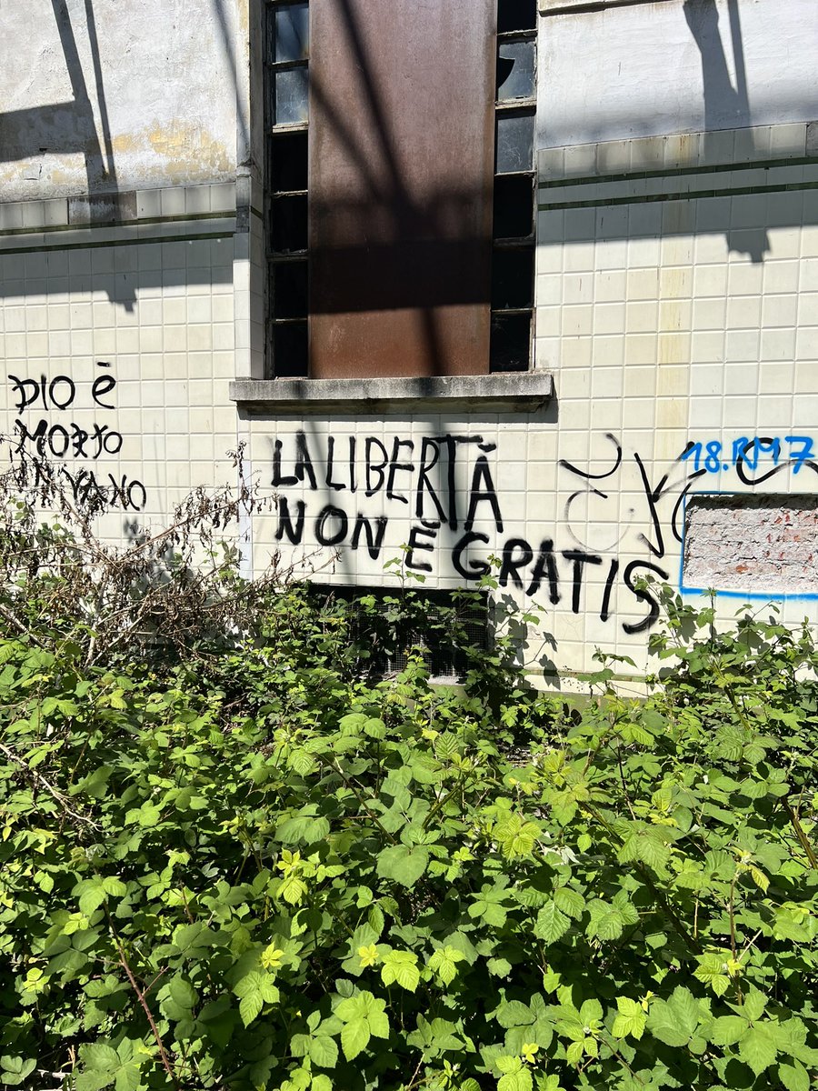 La libertà non e gratis