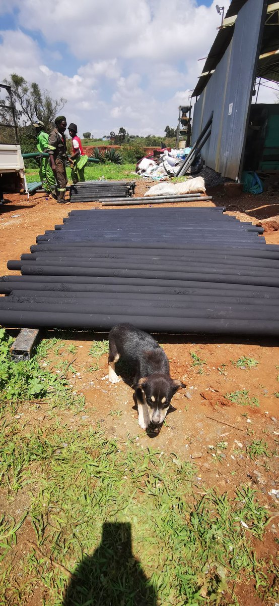 NomaPlastics's tweet photo. Client: Can you paint my poles charcoal black? 
Us: Say no more. https://t.co/dkzErwV8vX