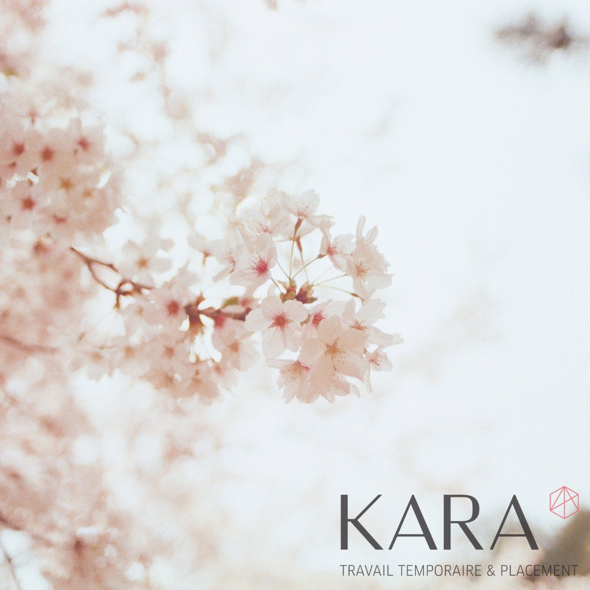 KARA tweet media