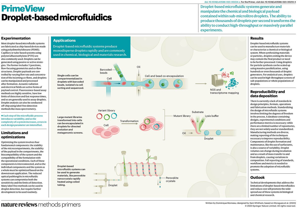 This weeks PrimeView highlights the use of droplet-based microfluidics systems in chemical, biological and materials research.

Free to access for a week: go.nature.com/40kZEWR