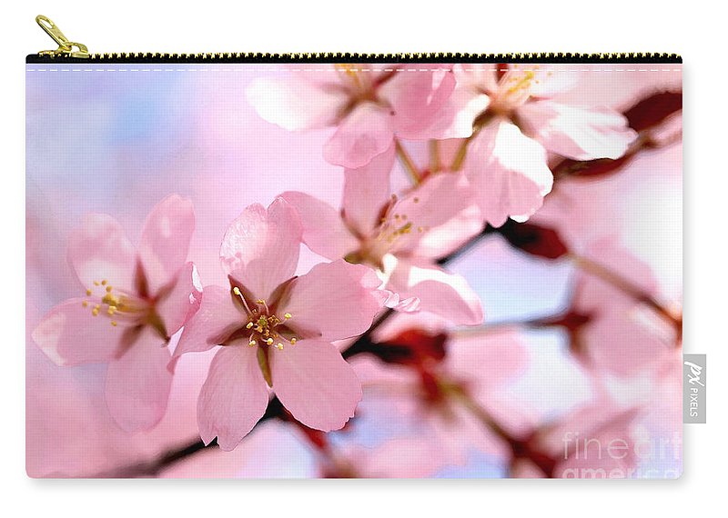 #SpringThings 🌺How about a matching tote #bag and a carry-all pouch with #cherryblossoms ?

Via my #pixels shop:
✅pixels.com/featured/pink-…

✅pixels.com/featured/pink-…

#BuyIntoArt #bags #totebags #AYearForArt #art #flowers #floral #zipperpouch #fineartamerica #cherryblossom