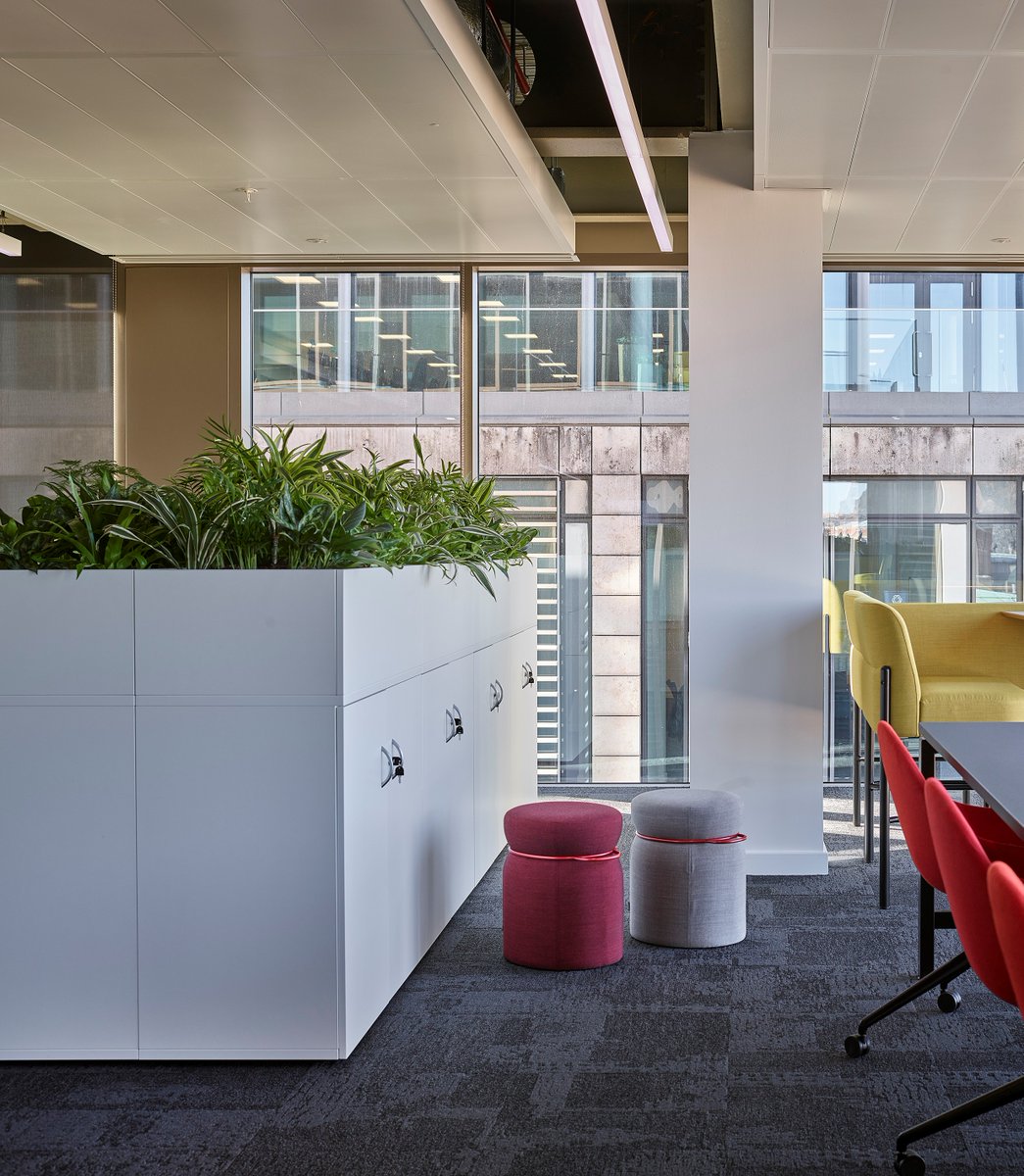Working in collaboration with @MLA_Ltd and @YourBureau, we were delighted to offer planting solutions for @BrodiesLLP ahead of their big move to Capital Square (winner of Best Commercial Workplace at the @BCO_UK Awards 2022).

“Promoting well-being at work was key to the success…
