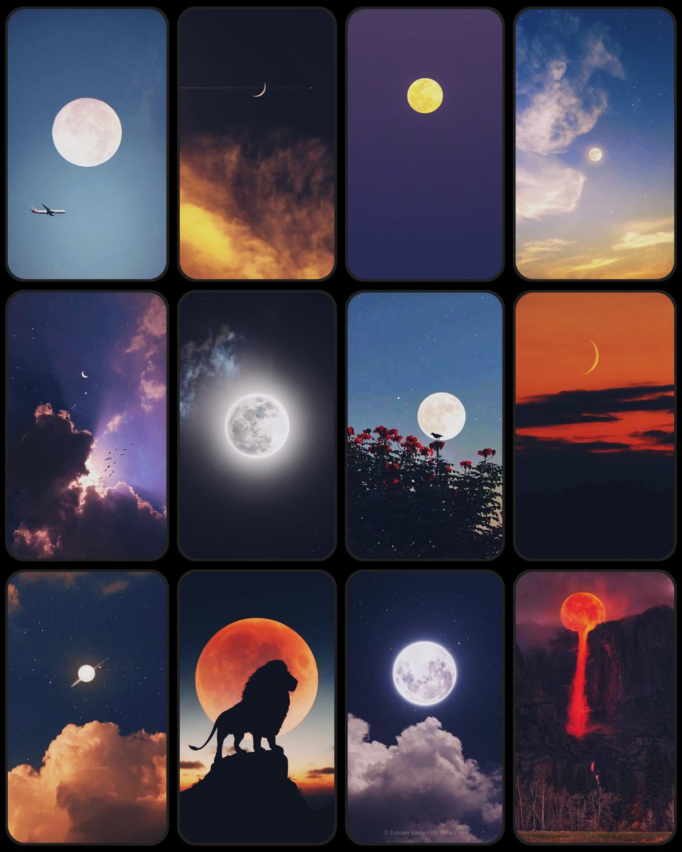 MOON tweet media