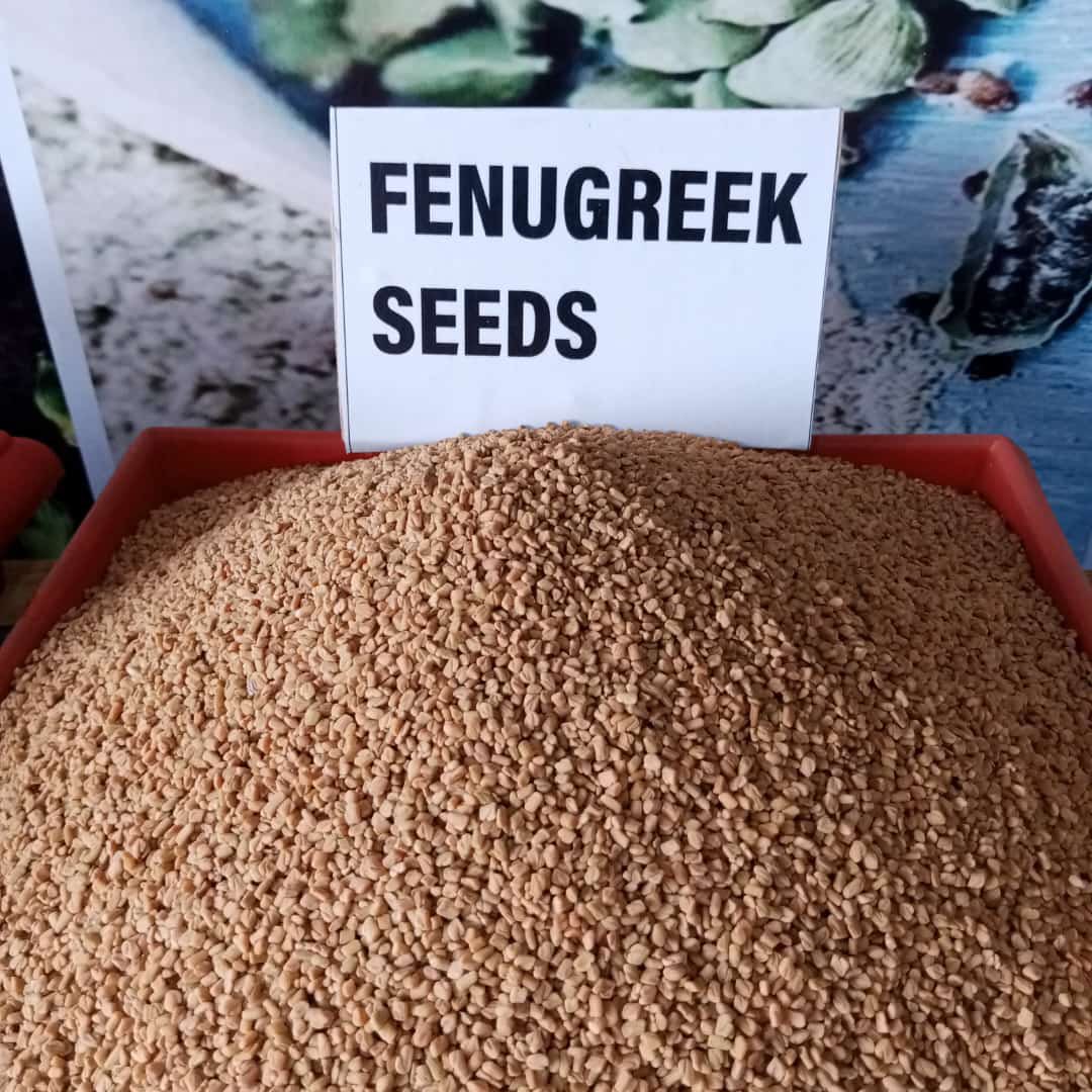 tuundaug's tweet photo. Get the best offer in spices and herbs from Jo tasty wave spices for cooking and medicinal purposes. Make an order on the tuunda app for your deliveries.

https://t.co/4t5z4MQpPM https://t.co/eoNO7Ds6Nw