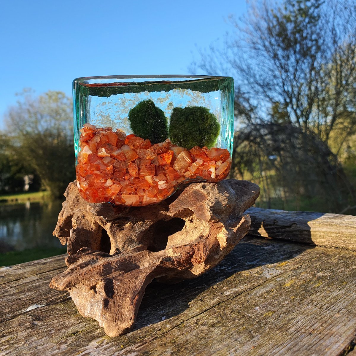 CoolKeyringsUK's tweet photo. New Aquariums now in stock!!!
#mossballs #plants #decor #minimalist #coolgifts
https://t.co/kKaj52gOym https://t.co/ZrF4Mv3Tz2