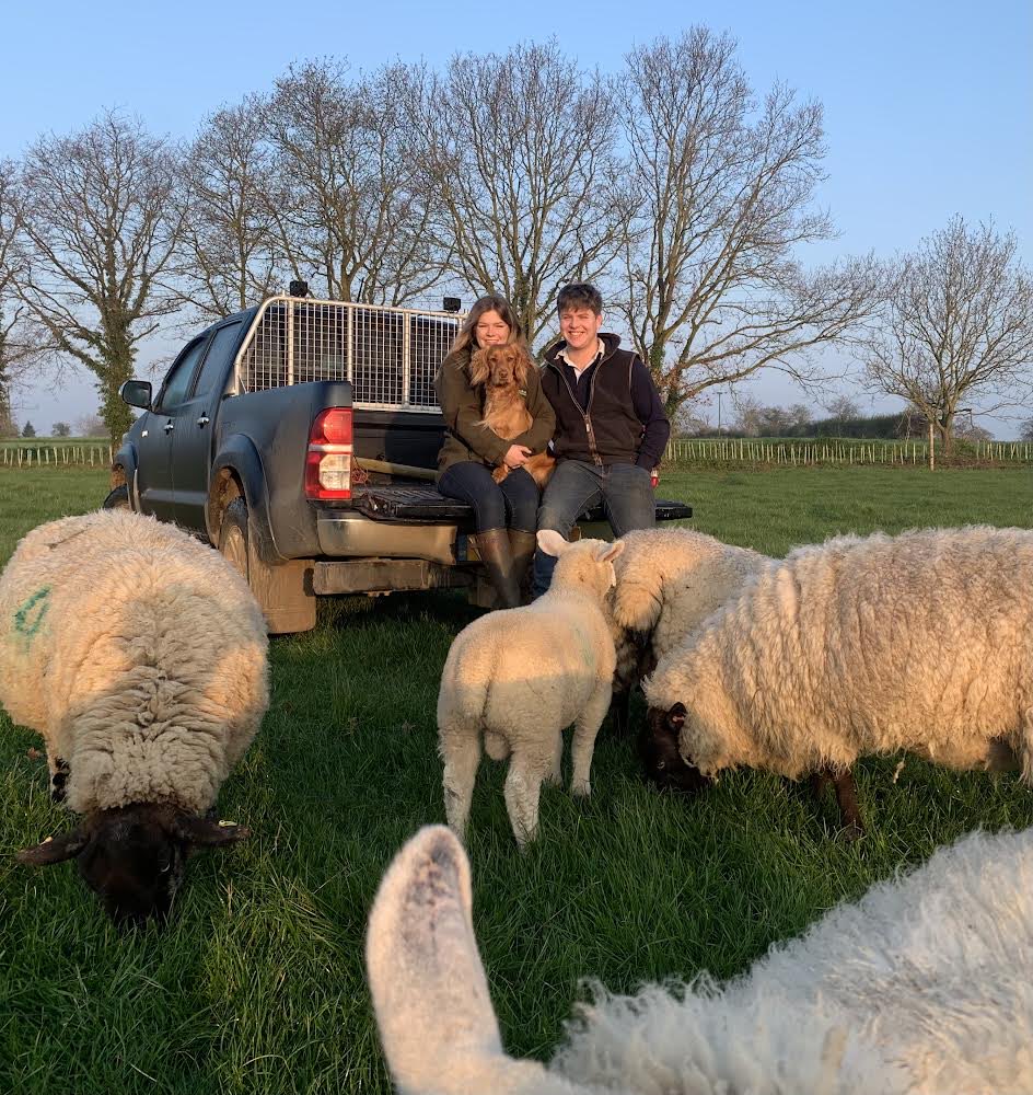 Norfolk County Council Farms tweet media