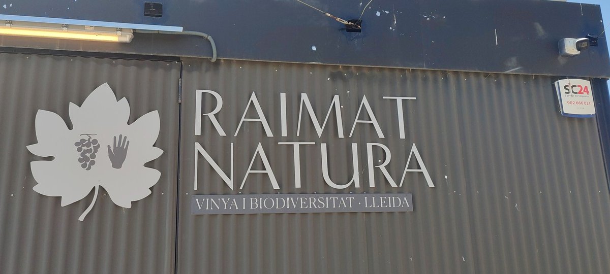 clusterEE's tweet photo. Avui som a @RaimatVinos, de la mà de @clusterinnovi, per a dur a terme la jornada "La transició energètica en el sector vitivinícola: menys energia i més neta". Entorn immillorable per a desenvolupar sinèrgies i projectes conjunts. #TransicioEnergetica #intercluster https://t.co/FhO8nHV11X