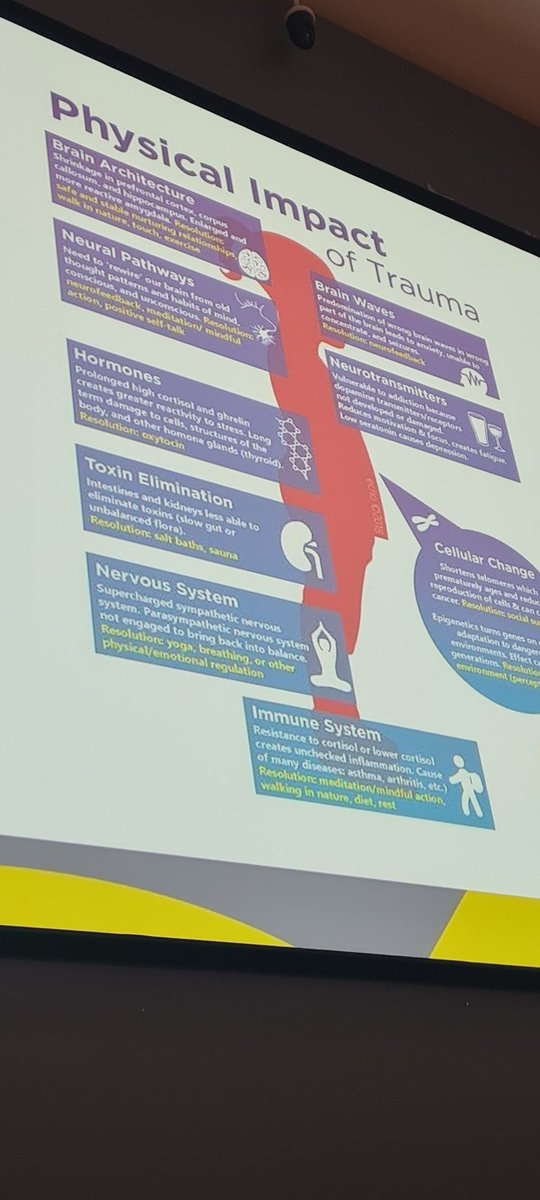 Louise_Patmore's tweet photo. Many aspects of trauma and complex trauma new approaches and ways of working in psychological therapies to tackle social and trauma #ppconf @nickdgrey @NickRLake @PPT_SPFT @SPFT_NHS https://t.co/aqnuOlhaBe